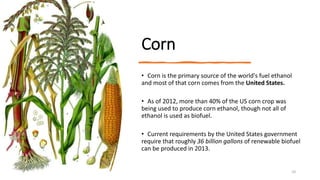 Corn
• Corn is the primary source of the world's fuel ethanol
and most of that corn comes from the United States.
• As of 2012, more than 40% of the US corn crop was
being used to produce corn ethanol, though not all of
ethanol is used as biofuel.
• Current requirements by the United States government
require that roughly 36 billion gallons of renewable biofuel
can be produced in 2013.
9/24/2023 10
 
