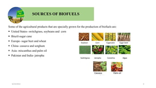 Some of the agricultural products that are specially grown for the production of biofuels are:
 United States- switchgrass, soybeans and corn
 Brazil-sugar cane
 Europe- sugar beet and wheat
 China- cassava and sorghum
 Asia- miscanthus and palm oil
 Pakistan and India- jatropha
SOURCES OF BIOFUELS
9/24/2023 4
 