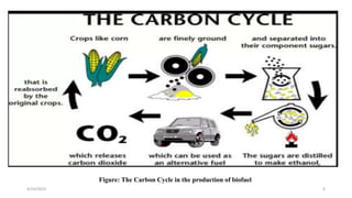Figure: The Carbon Cycle in the production of biofuel
9/24/2023 6
 