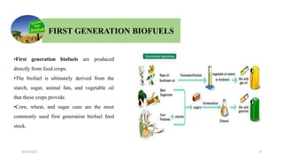 •First generation biofuels are produced
directly from food crops.
•The biofuel is ultimately derived from the
starch, sugar, animal fats, and vegetable oil
that these crops provide.
•Corn, wheat, and sugar cane are the most
commonly used first generation biofuel feed
stock.
FIRST GENERATION BIOFUELS
9/24/2023 9
 