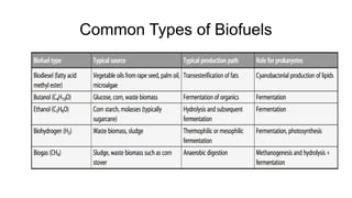 biofuel presentation slides on biotechn | PPTX