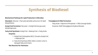 A brief introduction on biofuels production and biotechnology ...