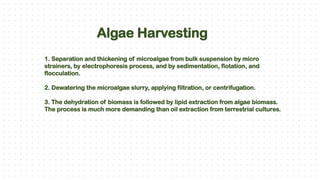 Biofuel from Algae, Micro Algae, Methods | PPTX