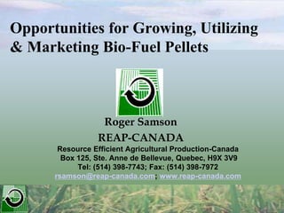 Opportunities for Growing, Utilizing
& Marketing Bio-Fuel Pellets
Roger Samson
REAP-CANADA
Resource Efficient Agricultural Production-Canada
Box 125, Ste. Anne de Bellevue, Quebec, H9X 3V9
Tel: (514) 398-7743; Fax: (514) 398-7972
rsamson@reap-canada.com; www.reap-canada.com
 