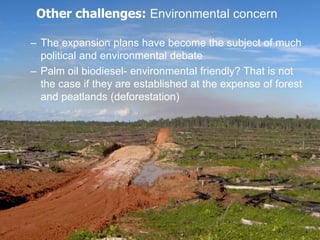 Biofuel development in Indonesia: progress and challenges | PDF