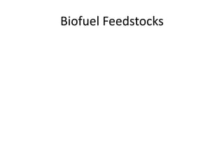 Biofuel Feedstocks
 