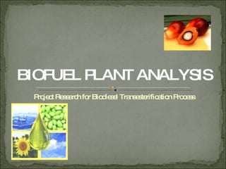 Project Research for Biodiesel Transesterification Process BIOFUEL PLANT ANALYSIS 