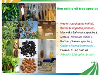 Biofuel is an alternative source of energy | PPT