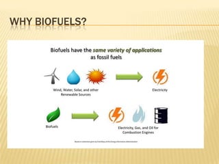 WHY BIOFUELS?
 