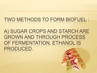 TWO METHODS TO FORM BIOFUEL :

A) SUGAR CROPS AND STARCH ARE
GROWN AND THROUGH PROCESS
OF FERMENTATION, ETHANOL IS
PRODUCED.
 