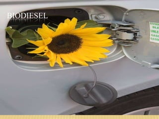 BIODIESEL
 