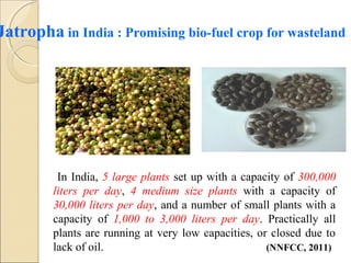 BIOFUELS AND THEIR FUTURE PERESPECTIVES | PPT