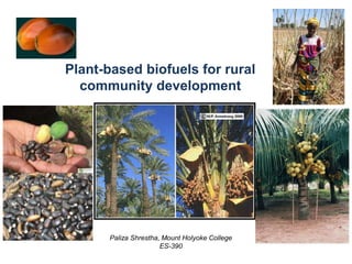 Plant-based biofuels for rural community development PalizaShrestha, Mount Holyoke College ES-390 