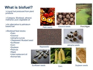 Demand for renewable energy sources is expected to rise in future