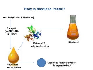 Biofuel gaining worldwide popularity since first manufactured in Europe