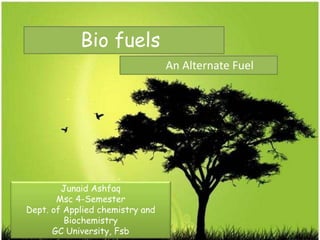 Bio fuels
An Alternate Fuel
Junaid Ashfaq
Msc 4-Semester
Dept. of Applied chemistry and
Biochemistry
GC University, Fsb
 