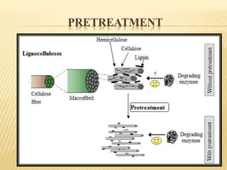 PRETREATMENT
 