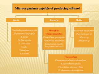 Microorganisms capable of producing ethanol
Yeasts
Candiada pseudotropicalis
Kluyveromyces fragilis
K.lactis
Pichia stipitis
S. cerevisiae
S.sake
S.diasticus
S.ovarum
Bacteria
Mesophilic
Oligate anaerobes
Clostridium sporogenes
Facultative anaerobes
Zymomonas mobilis
Streptococcus lactis
Thermophilic
Thermoanaerobacter ethanolicus
B.stearothermophiles
Clostridium thermocellum
Cl. thermosaccharolyticum
Molds
Fusarium oxysporum
Paecilomyces sp
Mucor sp
Rhizopus sp
 