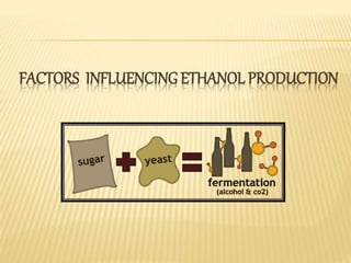 FACTORS INFLUENCING ETHANOL PRODUCTION
 