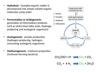 biofuel production.pptx describes about biofuelsbout | PPTX