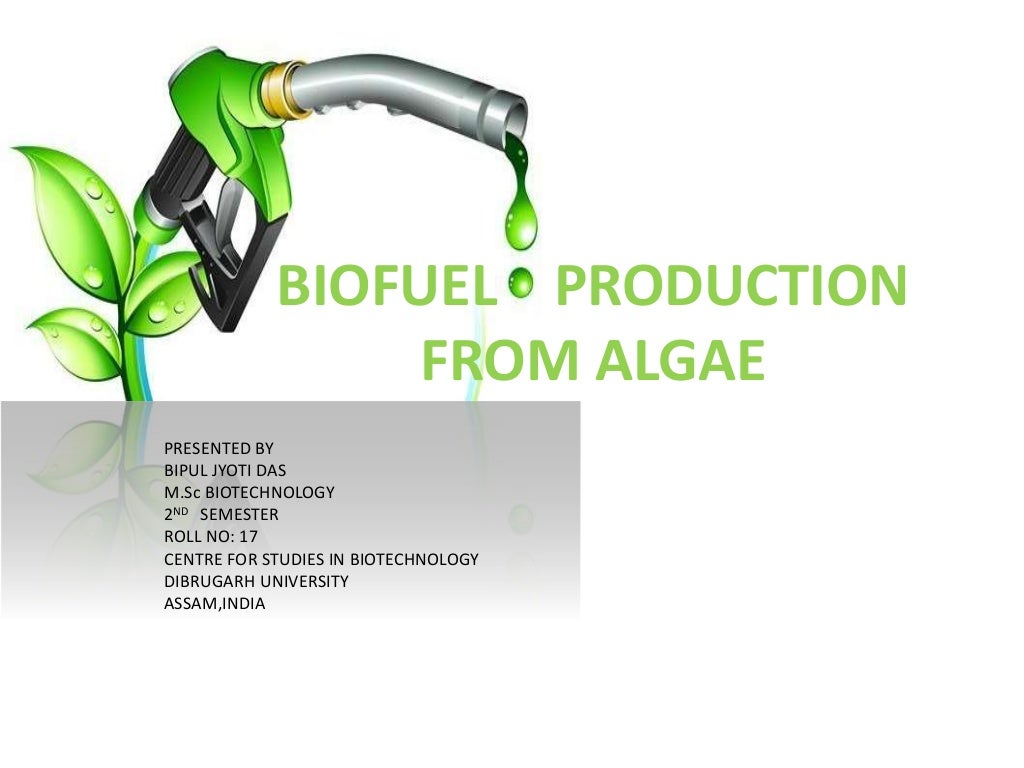 Biofuel production from algae