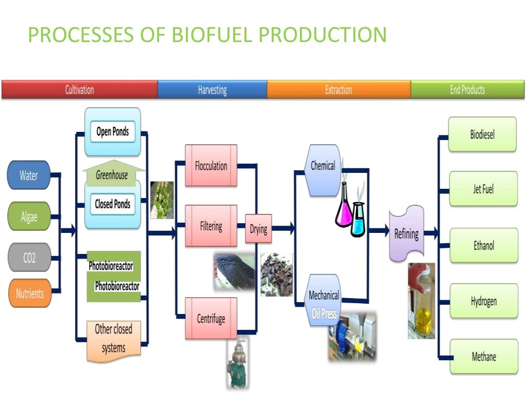 Biofuel production from algae