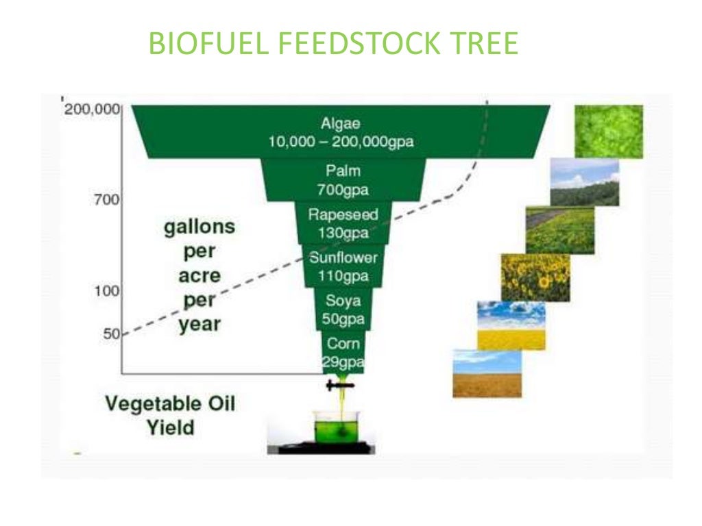 Biofuel production from algae