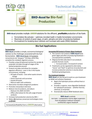 Technical Bulletin
                                                                                                 Bio-dynamics at Work in Biofuel Production



                                             EKO-Accel for Bio-fuel
                                                           Production


  EKO-Accel provides multiple GREEN solutions for the efficient, profitable production of bio-fuels:
            Fermentation Bio-activator – optimizes microbial health in hostile fermentation environments
            Maximizes oil content of green algae, oil palm, jatropha and other oil-producing feedstock
            Pre-treatment for breaking down cellulosic and municipal solid waste (MSW) feedstock


                                                     Bio-fuel Applications
Fermentation
EKO-Accel provides a simple, economical biological                            Increasing Oil Content of Green Algae Feedstock
solution to the challenges associated with bio-fuel                                The nutrient-rich content of EKO-Accel feeds
fermentation. EKO-Accel feeds and protects                                         green algae and other oil-producing feedstock –
conventional and “designer” microbes while they                                    unsurpassed bio-availability.
complete the metabolic digestion process.                                          Oligosaccharides (abundant in our product)
    Provides unique & balanced nutrition for aerobic &                             provide dramatic results.
    anaerobic microbes through all stages of the                                      o Increased yields + Increased oil content
    biofuel production process                                                     Treatments can be regulated to alternately
    Protects microbes and allows for complete                                      “starve” and “feed” to optimize oil production and
    digestion efficiency – even in the in the hostile                              increase production volumes in any bio-diesel
    environments, including:                                                       feedstock-growing process.
     o All types of waste – even when waste streams                           Pre-treatment Solution
         change                                                               EKO-Accel can also be put to work as a pre-treatment
     o Harsh chemicals and corrosives                                         on MSW and cellulosic feedstock:
     o Hostile PH levels
                                                                                      Begins the hydrolysis process without heat or
     o Manure laden with antibiotics
                                                                                      chemicals
    Overcomes microbial antagonism problems
                                                                                      Provides a superior, more digestible feedstock
    Promotes end-product tolerance                                                    for subsequent processes - whether thermal,
    Reduces toxic bi-products, and odours                                             chemical, or enzymatic
     o Reduces H2S, BOD’s & COD’s                                                     Dramatically reduces MSW feedstock odors
     o Offers alternatives for the safe usage of waste
       products
    Increases fuel production volumes by 30% +                                                   EKO-Accel is entirely
    Makes ALL biomass conversion technologies more                                 non-toxic – a proprietary marine algae suspension
    profitable                                                                          from Ascoplyllum nodosum seaweed –
                                                                                            certified EEC organic feedstuff.
Increased profitability from a GREEN alternative


          EKO GEA d.o.o. Ul. M. Grevenbroich 13, 3000 Celje SLOVENIA            Slovenia Corporate Tax Code: SI 831 31 833 www.ekogea.com
                                Contact Details: tel. + 386 3491 07 60 – fax + 386 3491 07 61 e-mail: info@ekogea.com
                                            For English: tel: UK +44 208 144 0102 US: + 1(217) 731-4744 e-mail: mkeenan@ekogea.com
 