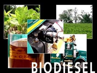 BIODIESEL
 