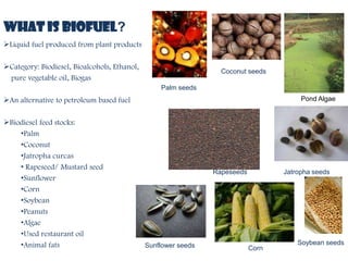 What is biofuel?
Liquid fuel produced from plant products

Category: Biodiesel, Bioalcohols, Ethanol,
                                                                  Coconut seeds
 pure vegetable oil, Biogas
                                                  Palm seeds
An alternative to petroleum based fuel                                                 Pond Algae


Biodiesel feed stocks:
    •Palm
    •Coconut
    •Jatropha curcas
    • Rapeseed/ Mustard seed
                                                                Rapeseeds          Jatropha seeds
    •Sunflower
    •Corn
    •Soybean
    •Peanuts
    •Algae
    •Used restaurant oil
    •Animal fats                              Sunflower seeds                          Soybean seeds
                                                                            Corn
 