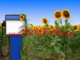 ADVANTAGES AND
DISADVANTAGES OF BIOMASS
 