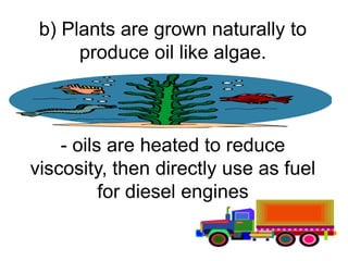 b) Plants are grown naturally to
      produce oil like algae.



    - oils are heated to reduce
viscosity, then directly use as fuel
          for diesel engines
 