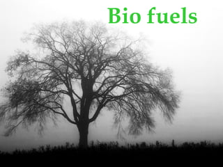 Bio fuels
 