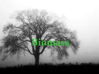 Biomass
 