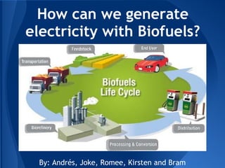 How can we generate
electricity with Biofuels?




  By: Andrés, Joke, Romee, Kirsten and Bram
 
