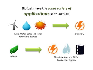 Biofuels have the same variety of

applications as fossil fuels

Wind, Water, Solar, and other
Renewable Sources

Biofuels

Electricity

Electricity, Gas, and Oil for
Combustion Engines

 