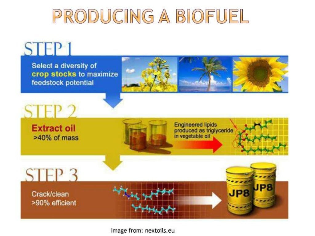 Biofuels history and types