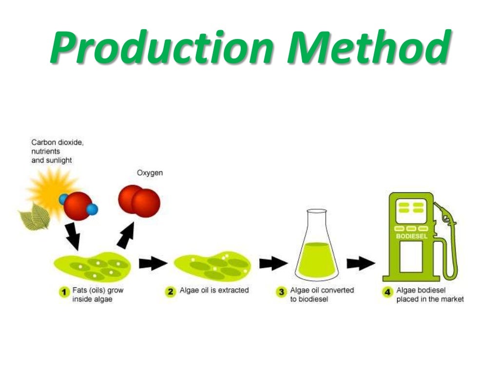 Biofuels history and types
