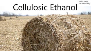 Cellulosic Ethanol 
Photo credit: 
Far Side of Fifty 
 