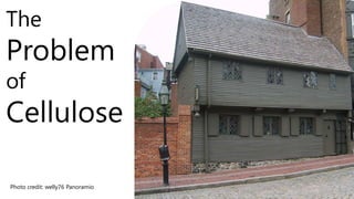 The 
Problem 
of 
Cellulose 
Photo credit: welly76 Panoramio 
 