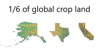 1/6 of global crop land 
 