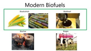 Modern Biofuels 
Bioalcohols 
Biodiesel 
Biogas 
Biochar 
 