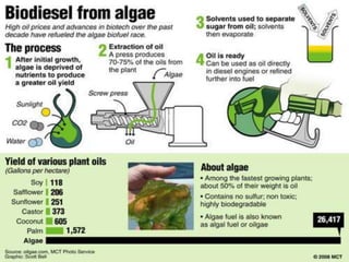 Biofuels | PPTX