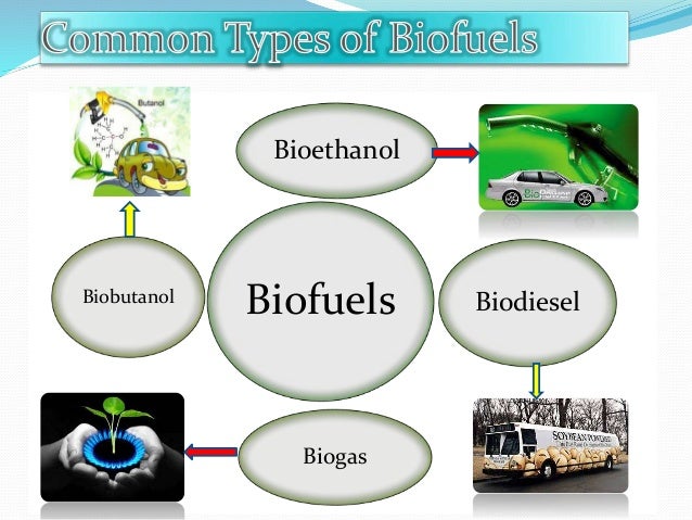 biofuels biofuels