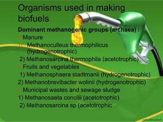 Organisms used in making
biofuels
Dominant methanogenic groups (archaea) :
 Manure
1) Methanoculleus thermophilicus
(hydrogenotrophic)
2) Methanosarcina thermophila (acetotrophic)
 Fruits and vegetables
1) Methanosphaera stadtmanii (hydrogenotrophic)
2) Methanobrevibacter wolinii (hydrogenotrophic)
 Municipal wastes and sewage sludge
1) Methanosaeta concilii (acetotrophic)
2) Methanosarcina sp (acetotrophic
 
