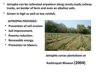 BioFuels - Alternate Fuel For World | PPT