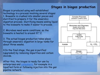 17
Biogas is produced using well-established
technology in a process involving several stages:
1. Biowaste is crushed into smaller pieces and
slurrified to prepare it for the anaerobic
digestion process. Slurrifying means adding liquid
to the biowaste to make it easier to process.
2. Microbes need warm conditions, so the
biowaste is heated to around 37 °C.
3. The actual biogas production takes place
through anaerobic digestion in large tanks for
about three weeks.
4.In the final stage, the gas is purified
(upgraded) by removing impurities and carbon
dioxide.
After this, the biogas is ready for use by
enterprises and consumers, for example in a
liquefied form or following injection into the gas
pipeline network.
Stages in biogas production
 