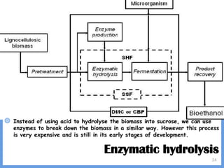 24
Enzymatic hydrolysis
◍ Instead of using acid to hydrolyse the biomass into sucrose, we can use
enzymes to break down the biomass in a similar way. However this process
is very expensive and is still in its early stages of development.
 