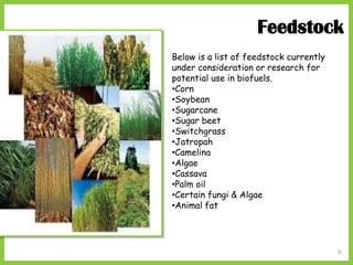 9
Below is a list of feedstock currently
under consideration or research for
potential use in biofuels.
•Corn
•Soybean
•Sugarcane
•Sugar beet
•Switchgrass
•Jatropah
•Camelina
•Algae
•Cassava
•Palm oil
•Certain fungi & Algae
•Animal fat
Feedstock
 