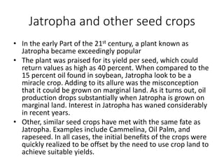 Jatropha and other seed crops
• In the early Part of the 21st century, a plant known as
Jatropha became exceedingly popular
• The plant was praised for its yield per seed, which could
return values as high as 40 percent. When compared to the
15 percent oil found in soybean, Jatropha look to be a
miracle crop. Adding to its allure was the misconception
that it could be grown on marginal land. As it turns out, oil
production drops substantially when Jatropha is grown on
marginal land. Interest in Jatropha has waned considerably
in recent years.
• Other, similar seed crops have met with the same fate as
Jatropha. Examples include Cammelina, Oil Palm, and
rapeseed. In all cases, the initial benefits of the crops were
quickly realized to be offset by the need to use crop land to
achieve suitable yields.
 